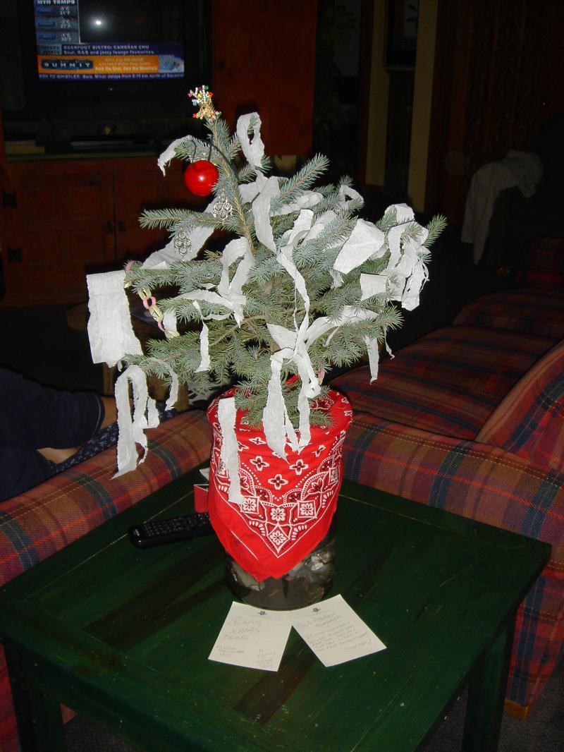 2004/12(Dec)/07(Whistler)/800x600_2004-12-15 11-33-32.JPG